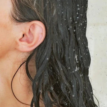 ANGAN Westfjords Shampoo