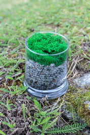 Breath of Clarity Bath Salt