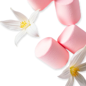 Oriana Eau de Parfum