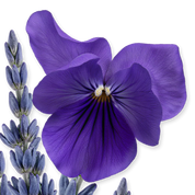 Palatine Eau de Parfum
