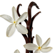 Safanad Eau de Parfum