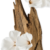 Valaya Eau de Parfum