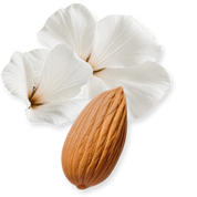 Valaya Exclusif Eau de Parfum
