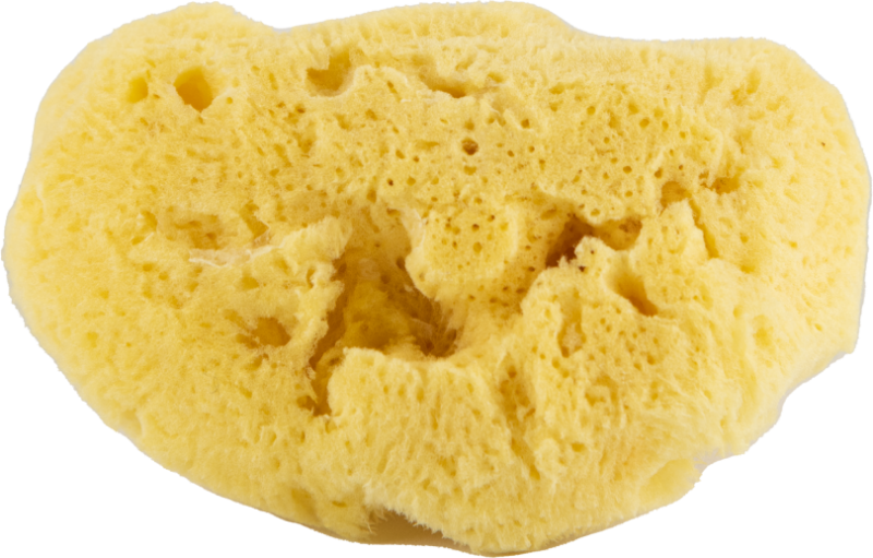 Naturschwamm 9 cm